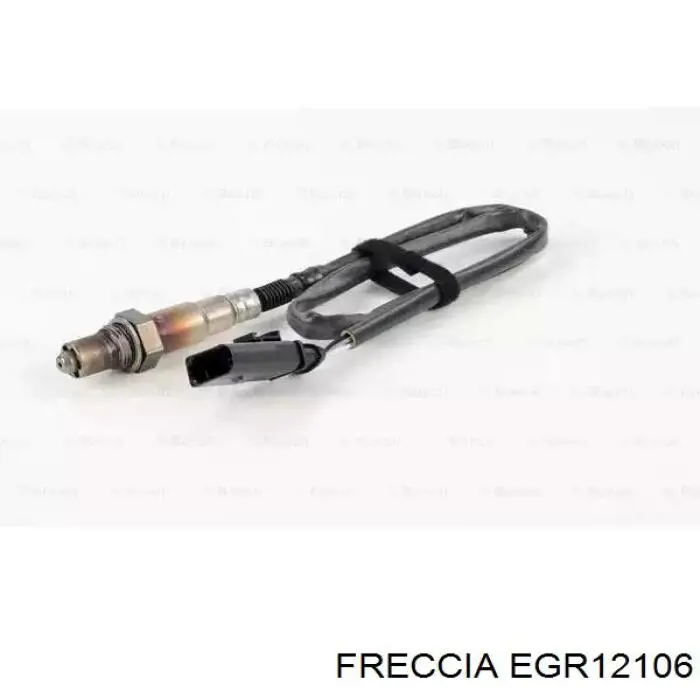 EGR12106 Freccia