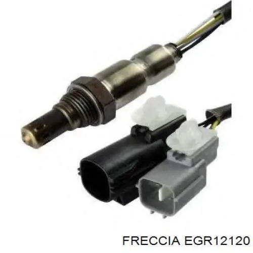 Клапан ЕГР EGR12120 Freccia