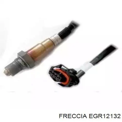 Клапан EGR, рециркуляции газов Freccia EGR12132
