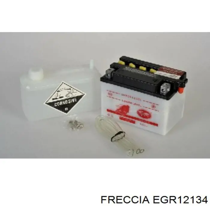 Купить EGR12134 Freccia Клапан EGR системы рециркуляции отработавших газов