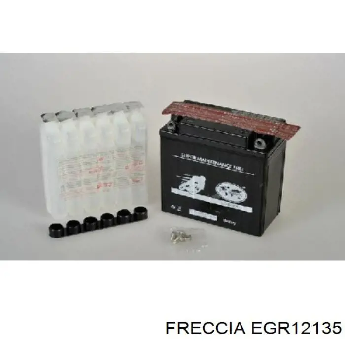 EGR12135 Freccia