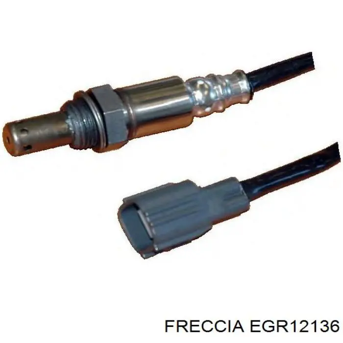 EGR12136 Freccia Клапан рециркуляции отработавших газов EGR