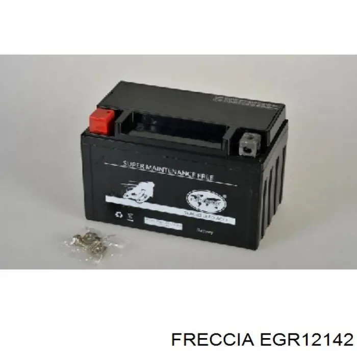 EGR12-142 Freccia клапан егр