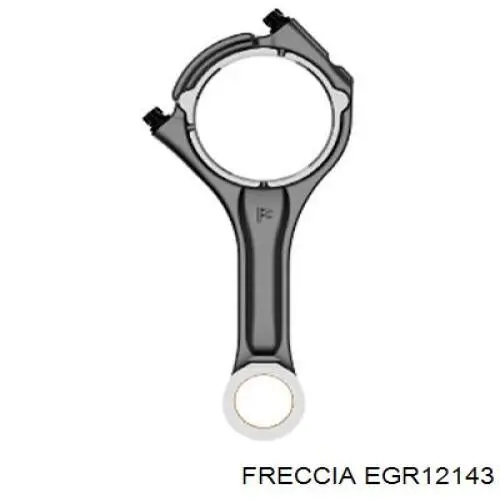 EGR12143 Freccia