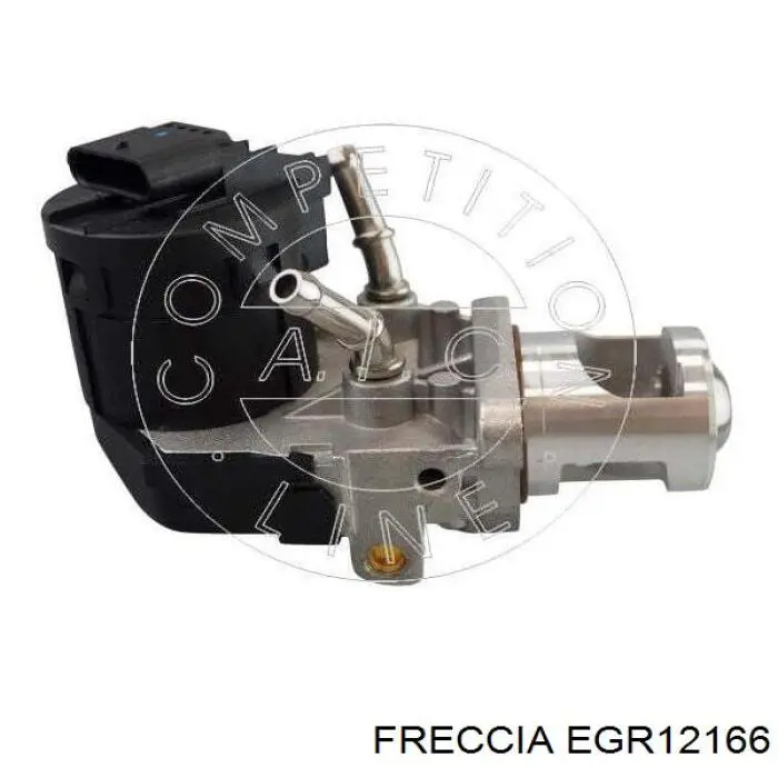 EGR12166 Freccia