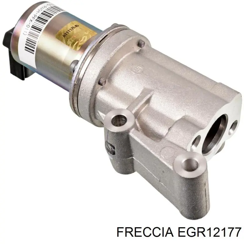 EGR12177 Freccia