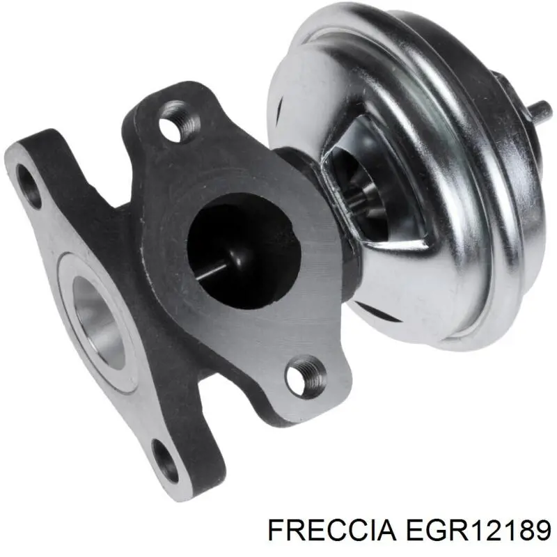 EGR12189 Freccia