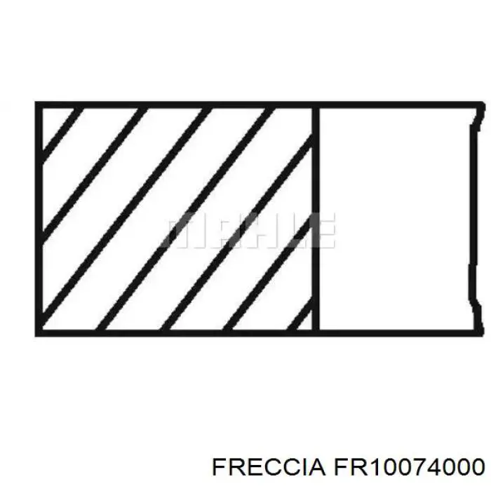 FR10074000 Freccia кольца поршневые на 1 цилиндр, std.