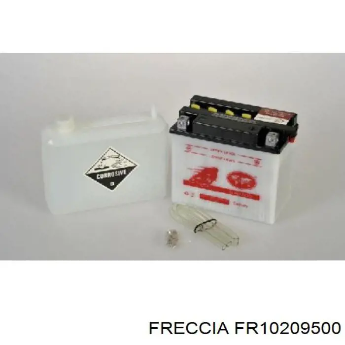 Кольца поршневые FR10209500 Freccia