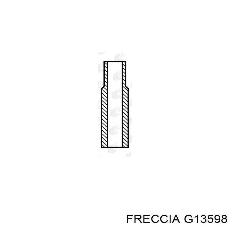 G13598 Freccia