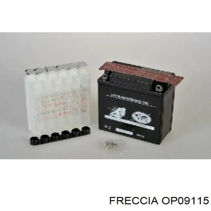 Купить OP09115 Freccia Насос маслозакачивающий