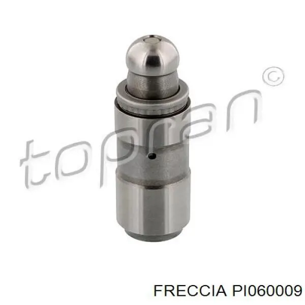 PI060009 Freccia