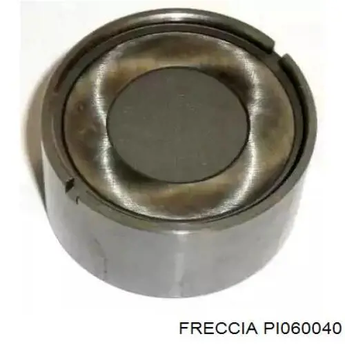 PI060040 Freccia