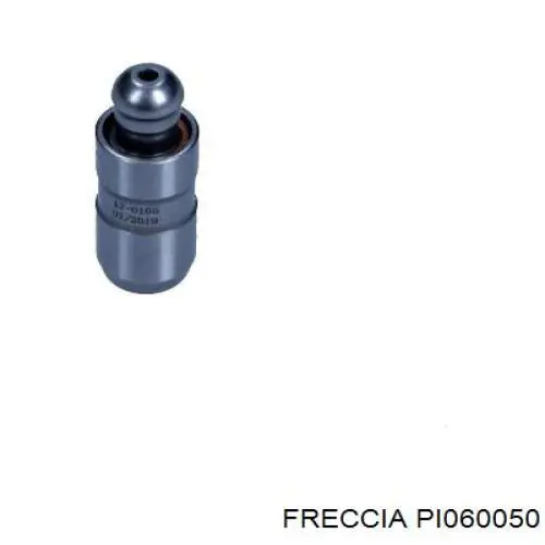 PI060050 Freccia