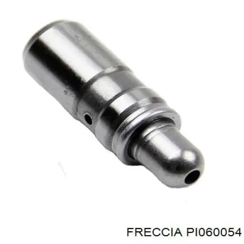 PI060054 Freccia