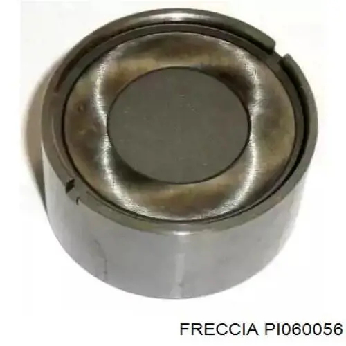 PI060056 Freccia