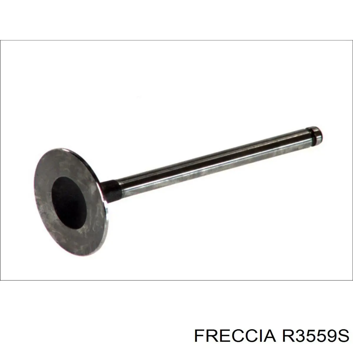 R3559S Freccia