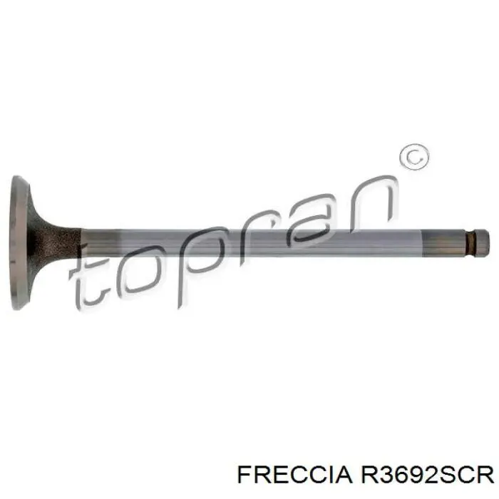 Впускной клапан 4464 Freccia