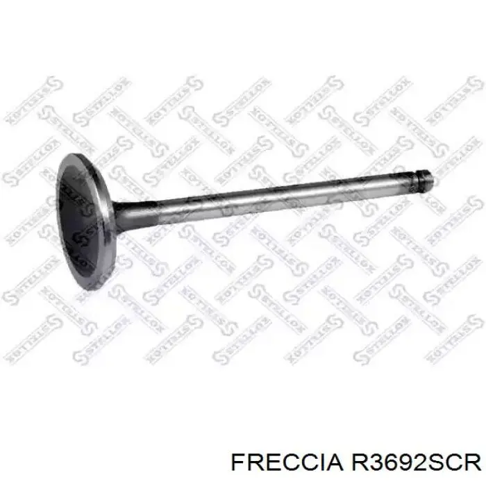 Купить 3692 Freccia Впускной клапан