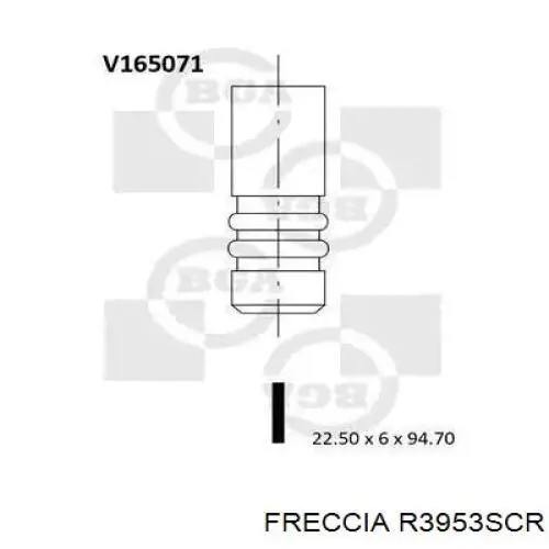 Válvula de admisión R3953SCR Freccia