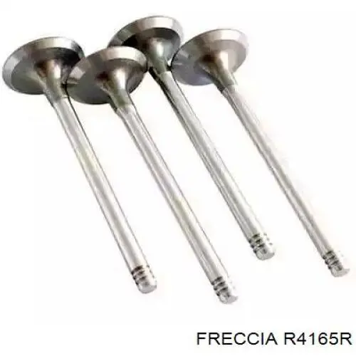 R4165R Freccia