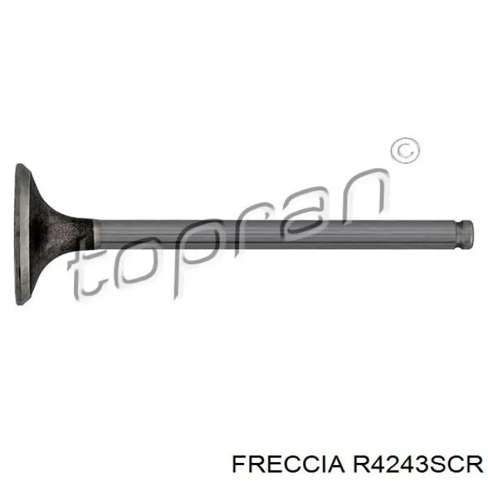 R4243SCR Freccia клапан впускной