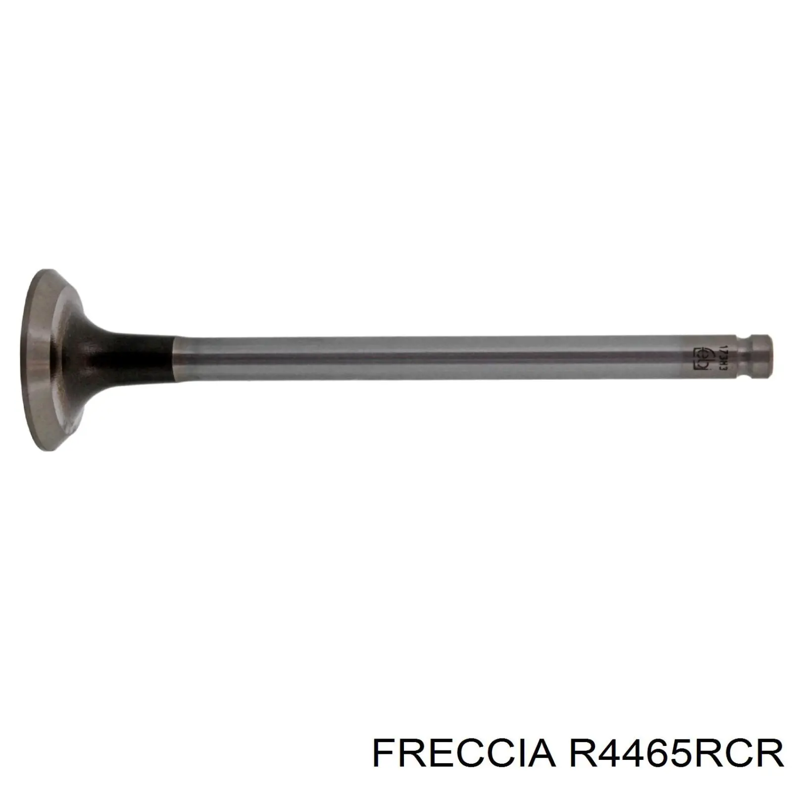 R4465RCR Freccia