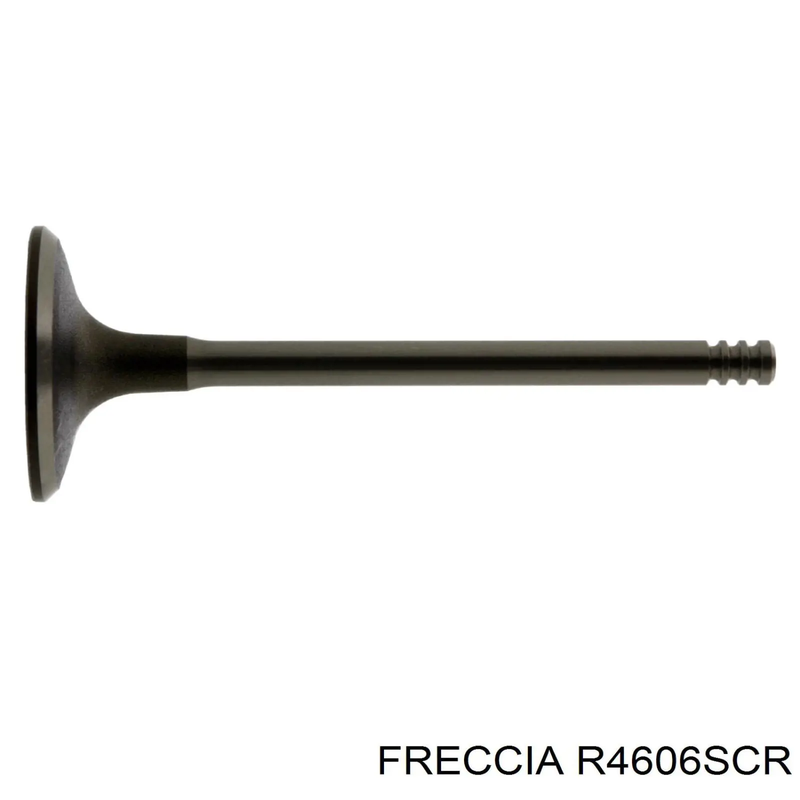 4606SCR Freccia клапан впускной