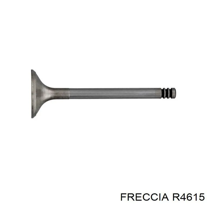 R4615 Freccia клапан впускной