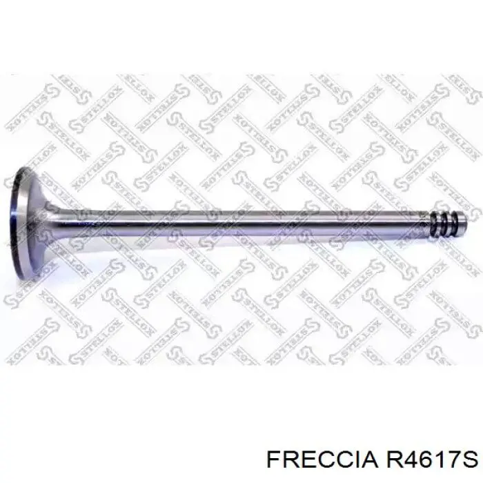 R4617S Freccia