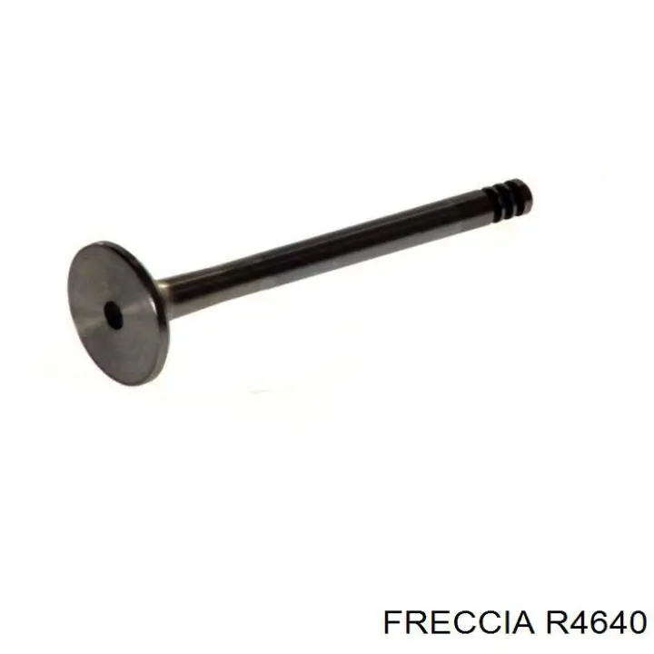 Купить R4640 Freccia Выпускной клапан