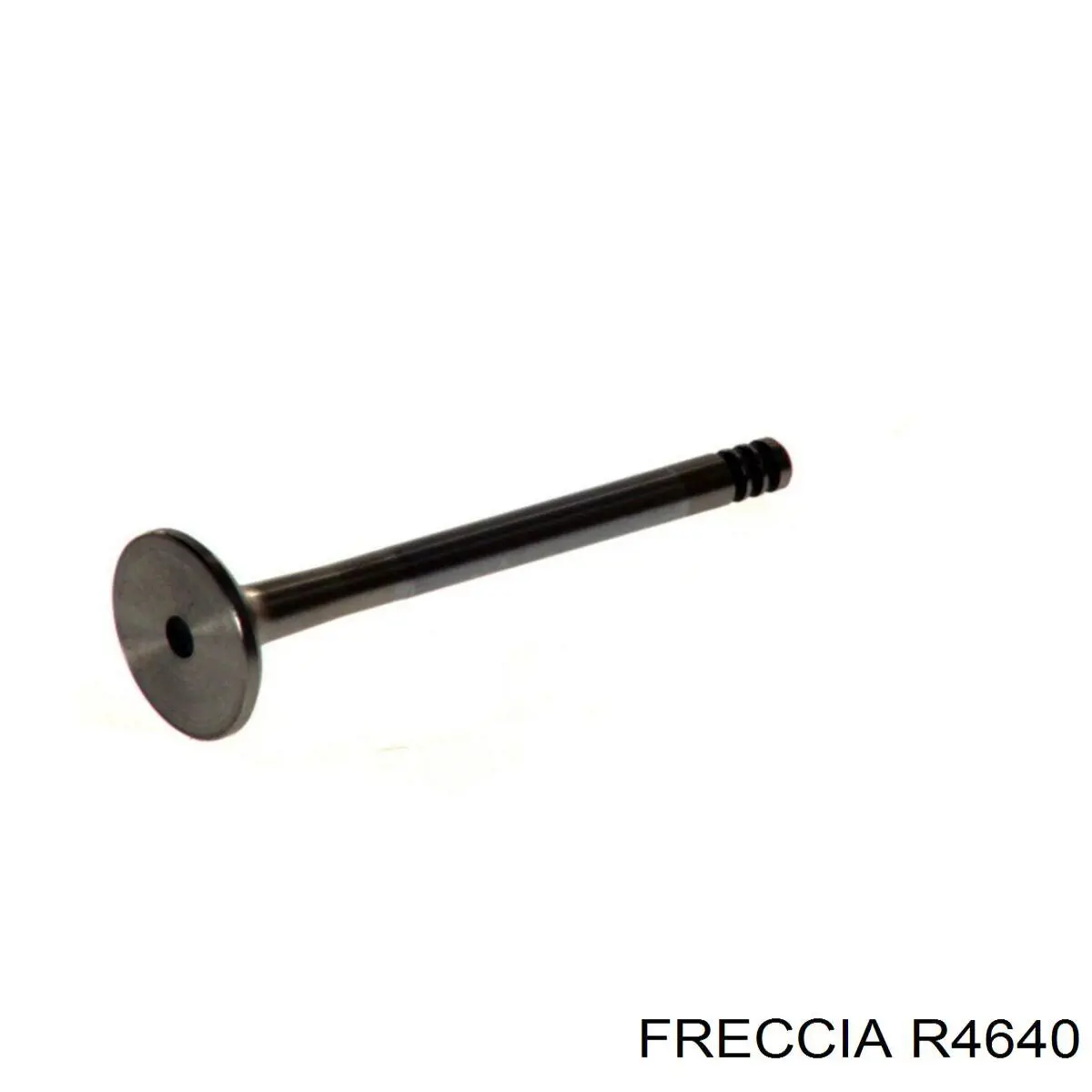 R4640 Freccia клапан выпускной