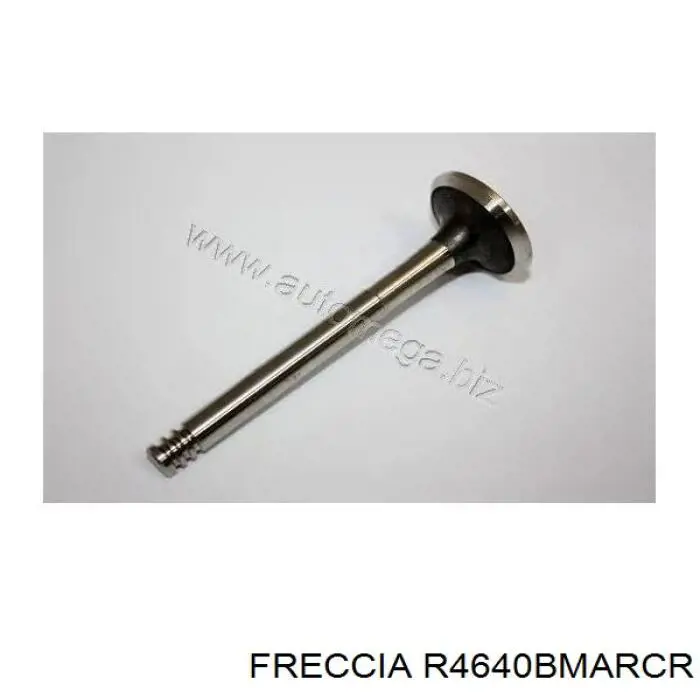 R4640BMARCR Freccia клапан выпускной