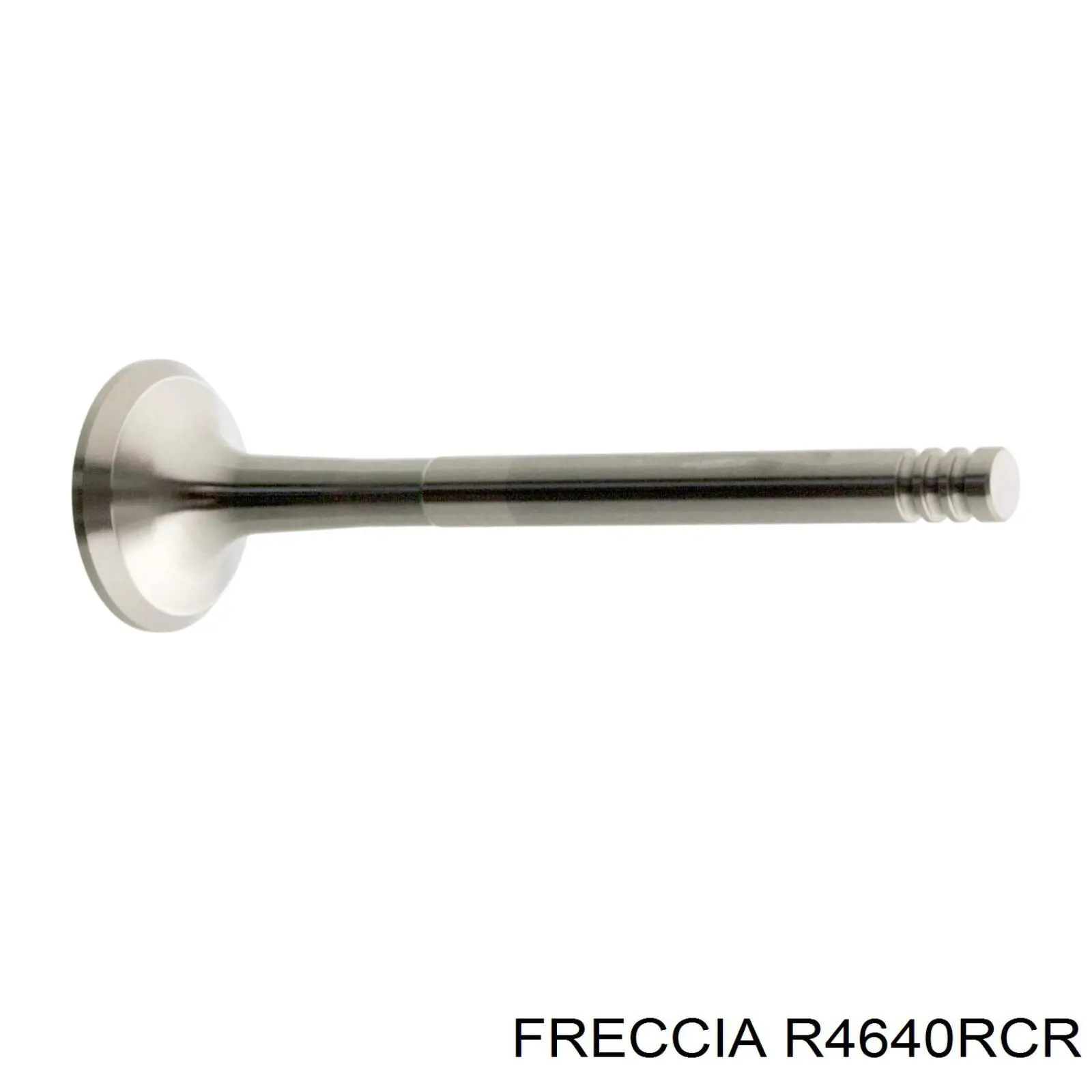 Купить R4640RCR Freccia Выпускной клапан