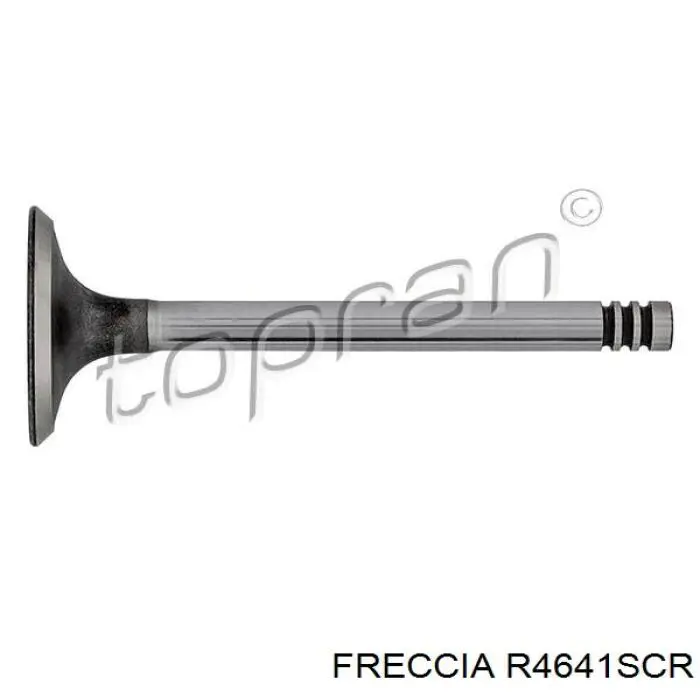 4641SCR Freccia клапан впускной