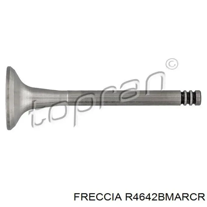 R4642SCR Freccia клапан выпускной