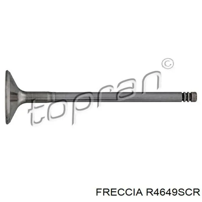 R4649SCR Freccia клапан впускной