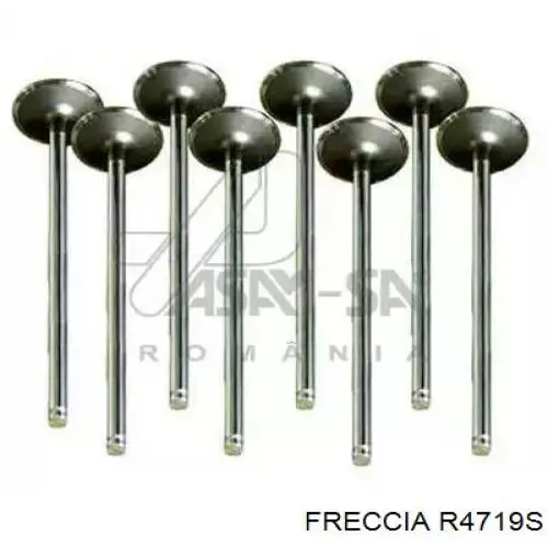 Клапан впускной Freccia R4719S цена, от 5.62 USD