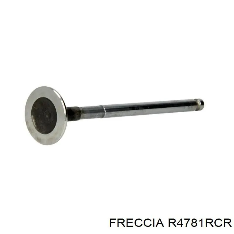R4781RCR Freccia клапан выпускной