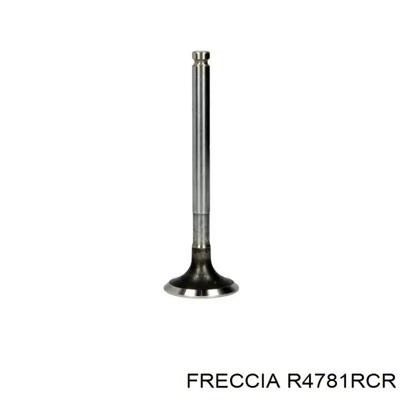 R4781RCR Freccia