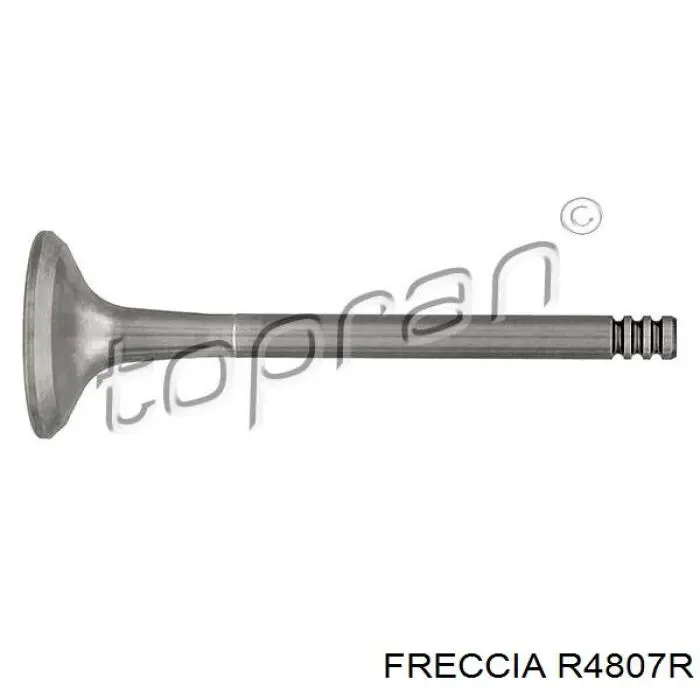 R4807R Freccia