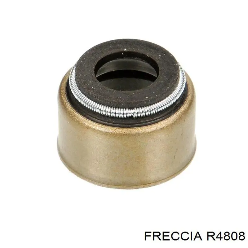 R4808 Freccia клапан впускной