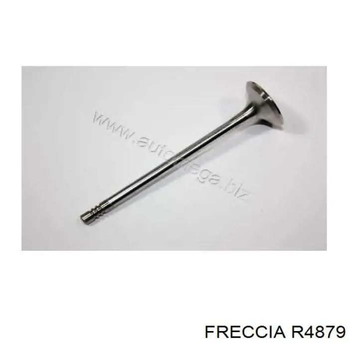 4879 Freccia клапан выпускной