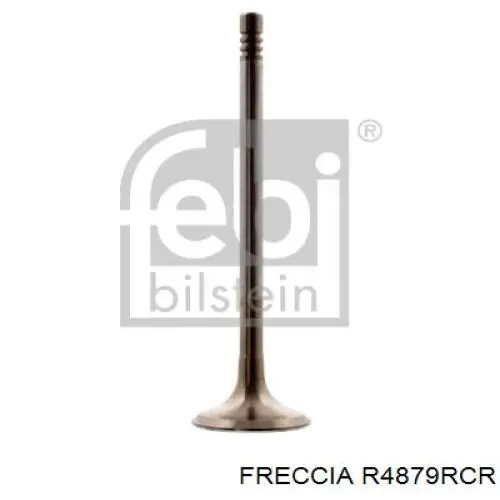 R4879RCR Freccia клапан выпускной