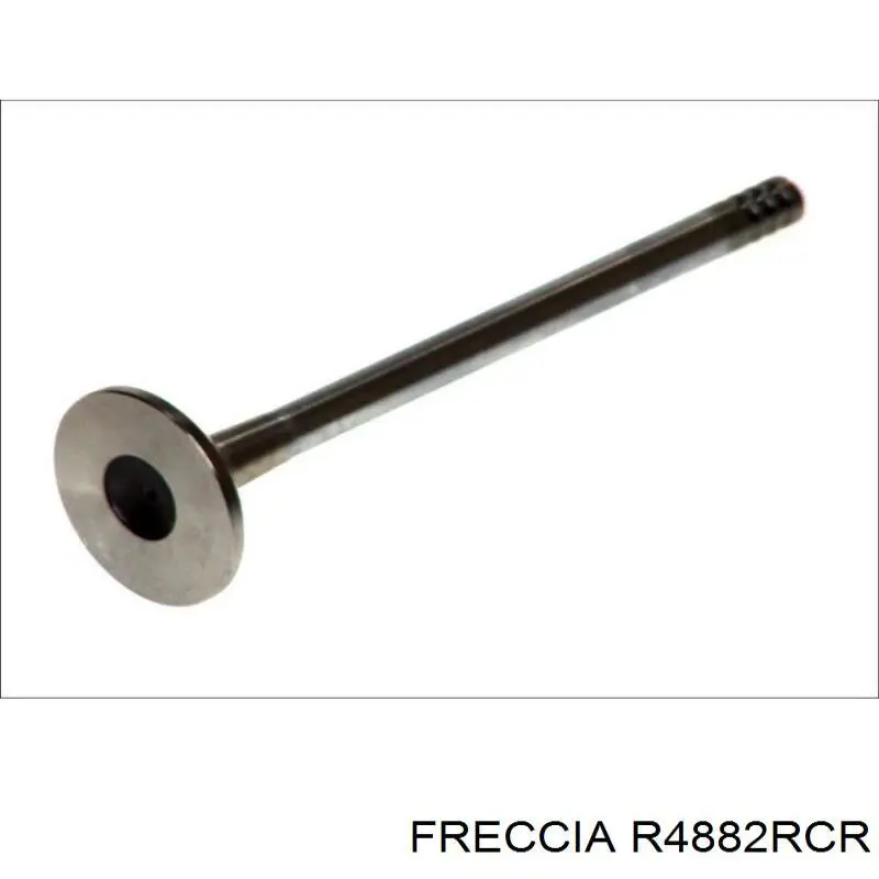R4882RCR Freccia клапан выпускной