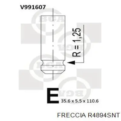 R4894SNT Freccia клапан впускной