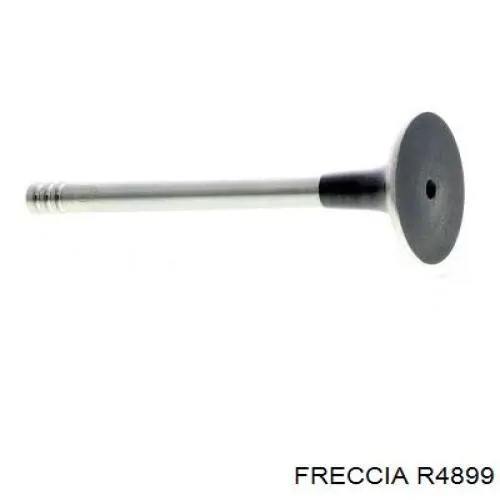 Впускной клапан 2118209 Intervalves