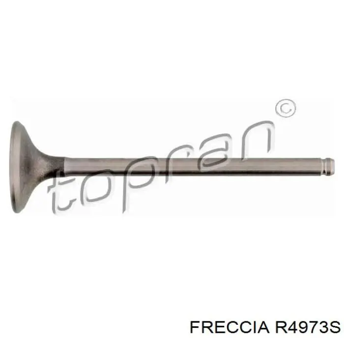 R4973S Freccia