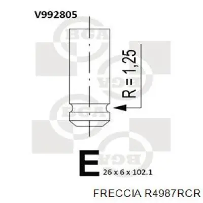 R4987RCR Freccia клапан выпускной