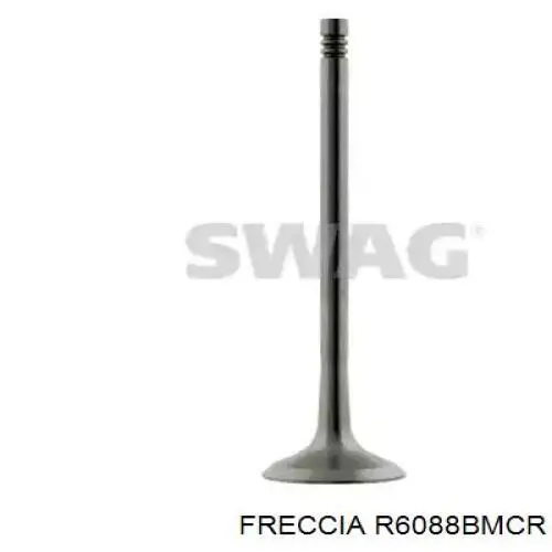 Válvula de admisión R6088BMCR Freccia